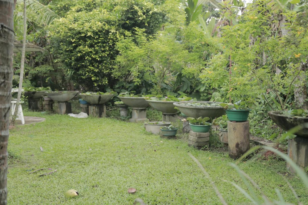 Kirala Villa Mihiripenne エクステリア 写真